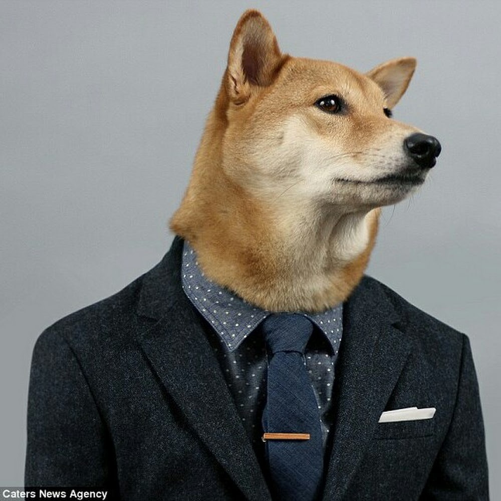 Meet your Posher, Clever